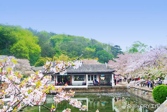 江苏周边游2-3天去哪里(图7)