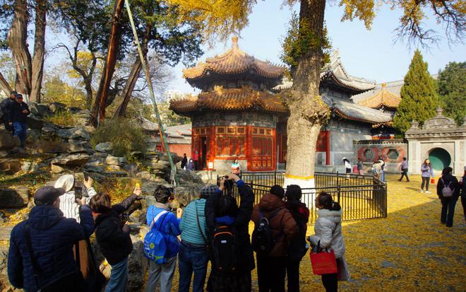 Kaiyun（中国体育）：流沙落叶冰箱贴火了背后有何故事？专访北京艺术博物馆馆长(图5)