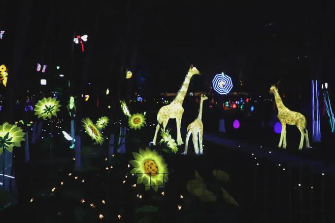 Kaiyun体育网站：“石城”磐石亮起来(图3)