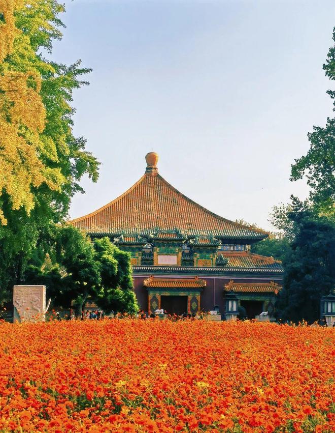 Kaiyun（中国体育）：走进北海公园领略古都北京的园林之美(图2)