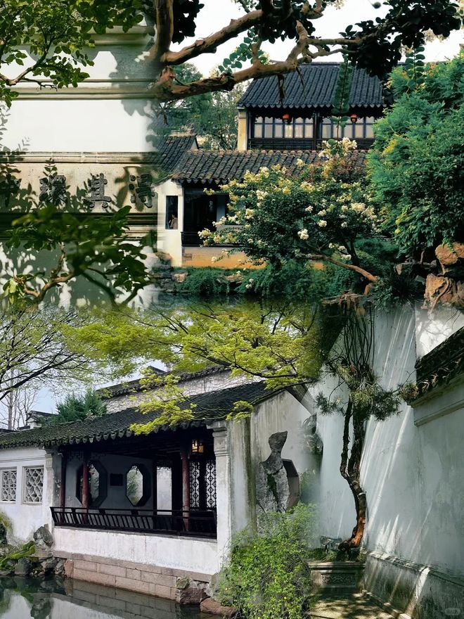 华东最新金牌旅游团报名信息亲测华东5日精华团预算攻略(图5)