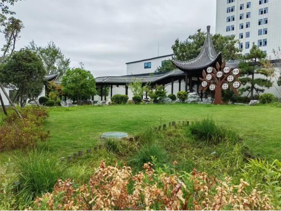 河南淮滨：公园游园为城市“添彩增色”(图2)