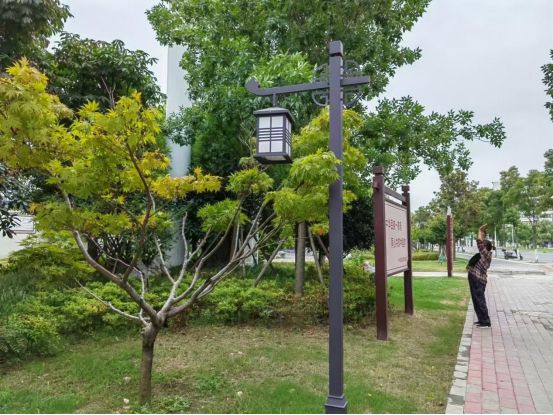 河南淮滨：公园游园为城市“添彩增色”(图3)