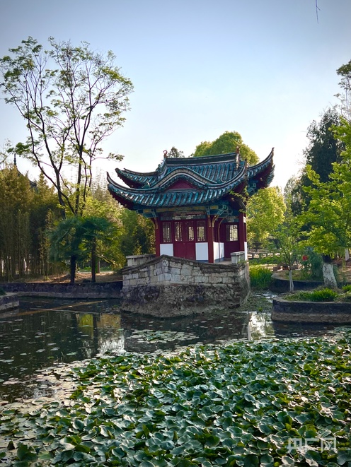 文化中国行古朴与现代交织昆明百年滇派园林“潮味”十足(图2)