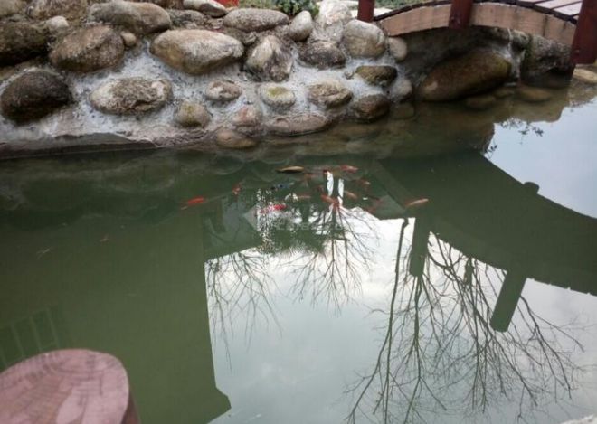 农村三层别墅花50万修建现10万卖不出有假山鱼塘！(图2)