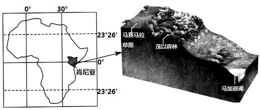 Kaiyun（中国体育）：【地理备考】东非的茂以森林与“尚奥保护区”（附典例训练）2024河北地理真题出处探源你会怎么备考？(图1)