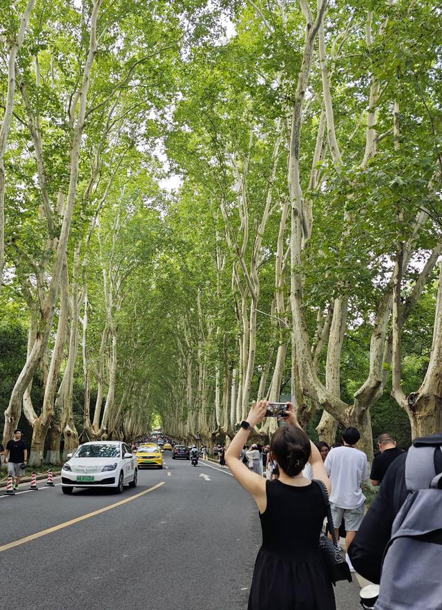 中秋假期首日南京各大景区游玩舒适度高(图6)