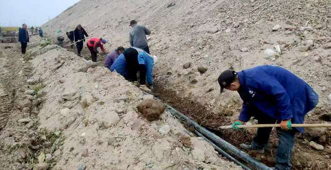 种下千株爬山虎绿满玛河垃圾山(图1)