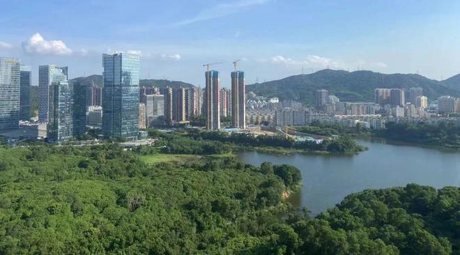 深度测评！一文看懂2024深圳楼市搅局者！(图17)