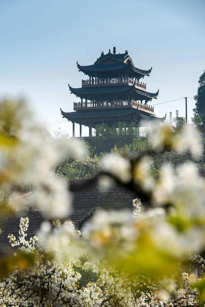 在彭州不得不爱的中式美学(图11)