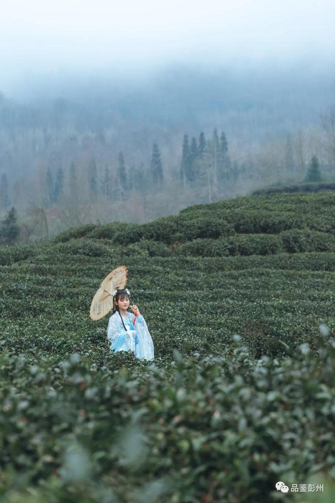 在彭州不得不爱的中式美学(图14)
