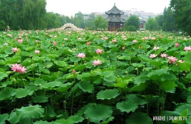 Kaiyun体育网站：一饱眼福！中国十大园林你去过几个？(图7)