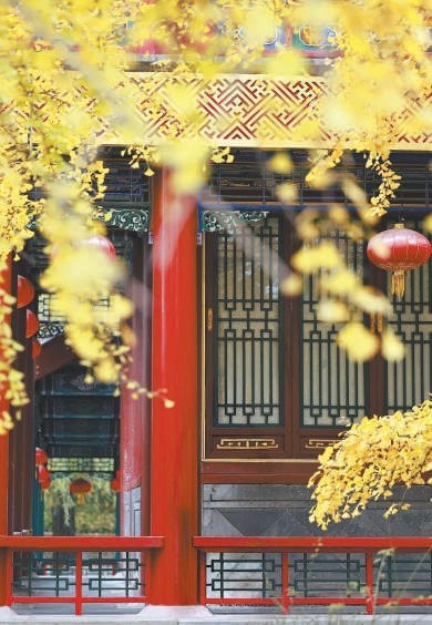 八处公园彩叶景观成秋日“网红”(图2)