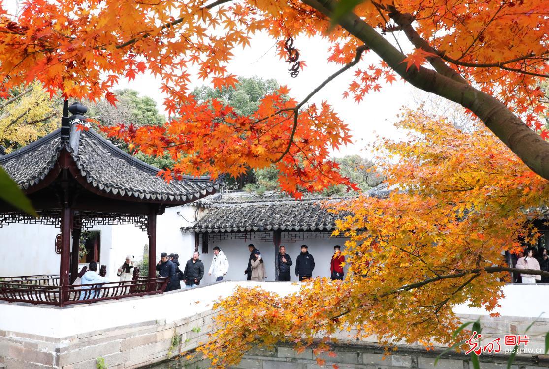 古典园林“枫”景美(图1)
