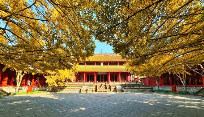官宣！成都即将迎来(图2)