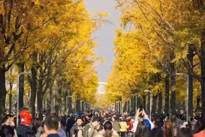 官宣！成都即将迎来(图4)