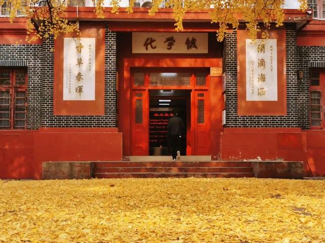 官宣！成都即将迎来(图6)