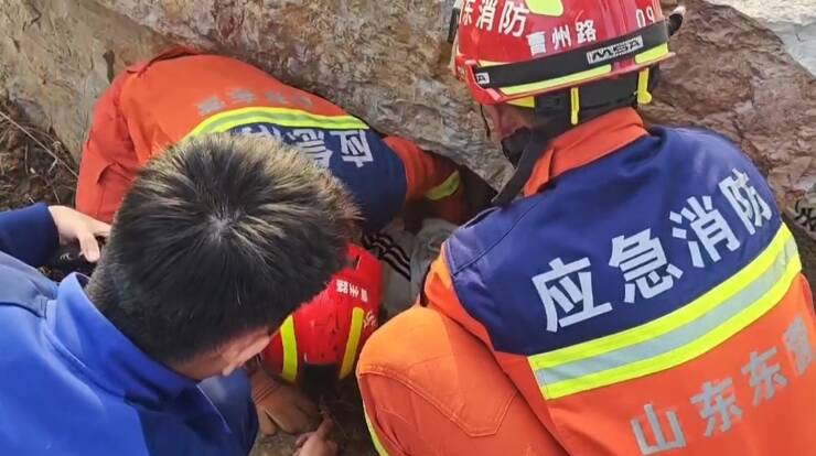 东营一女子被卡假山石缝消防部门紧急救援(图2)