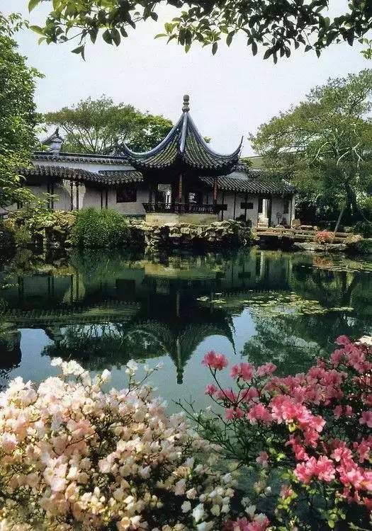 新澳门精准一肖一码准确公开：上海46条“落叶不扫”景观道陆续启动(图3)