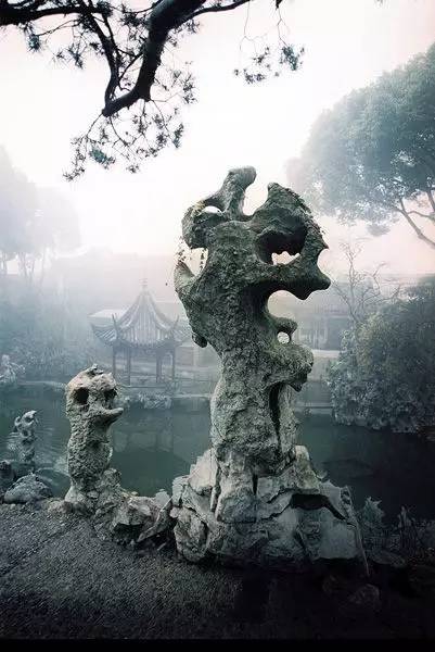 新澳门精准一肖一码准确公开：上海46条“落叶不扫”景观道陆续启动(图2)