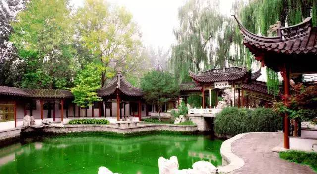 新澳门精准一肖一码准确公开：上海46条“落叶不扫”景观道陆续启动(图4)