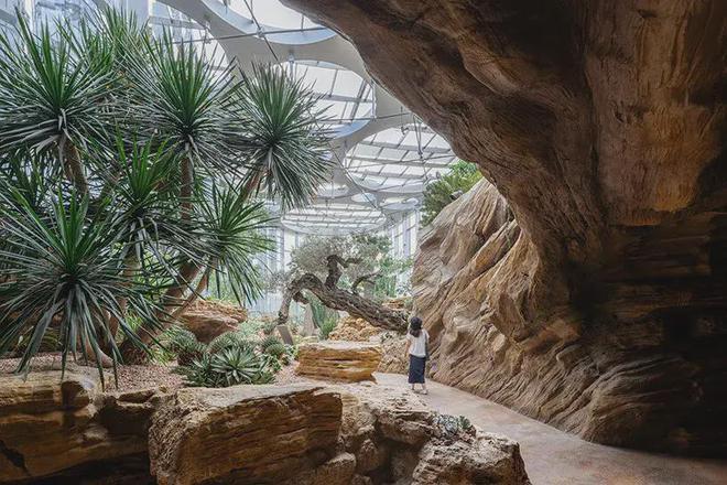 亚洲最大温室花园在上海建成占地约22万平方米！(图7)