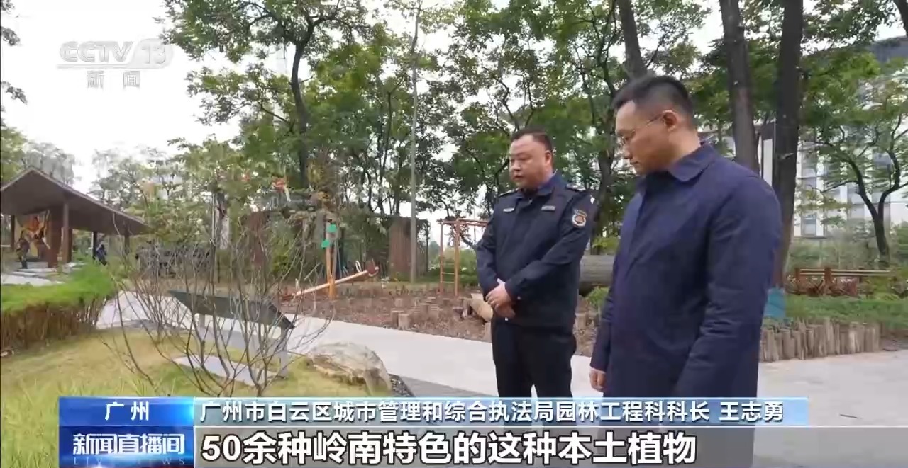 雨水花园、体育公园……带给市民“家门口的幸福”(图2)