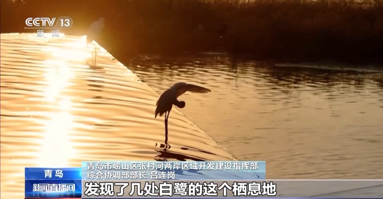 雨水花园、体育公园……带给市民“家门口的幸福”(图6)