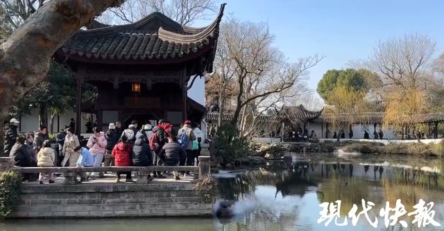 “mini假期”也热闹这个元旦江苏各大景区节味浓(图5)
