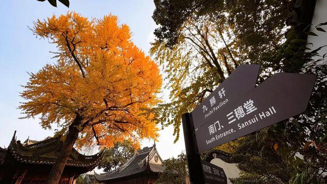 一年中最美！各大古风园林秋色正当时(图1)