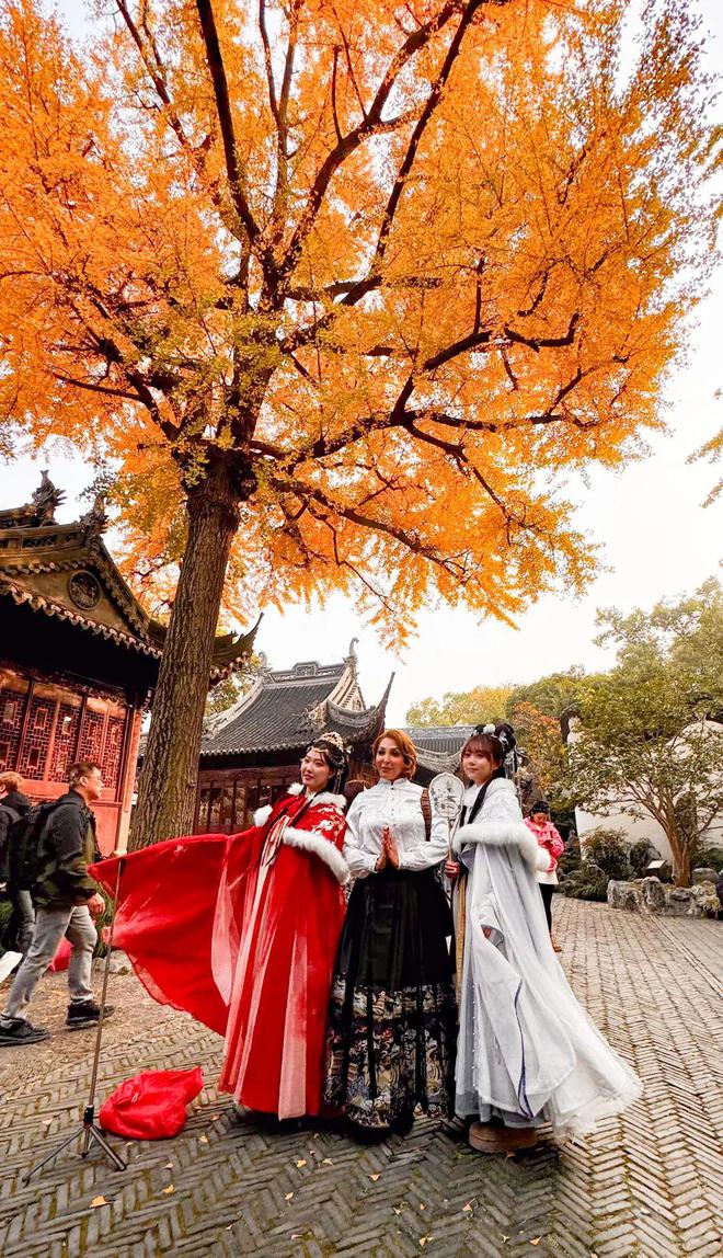 一年中最美！各大古风园林秋色正当时(图2)