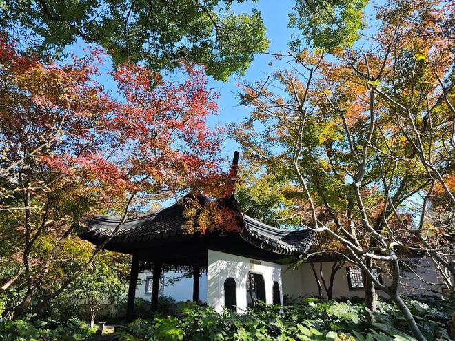 一年中最美！各大古风园林秋色正当时(图9)
