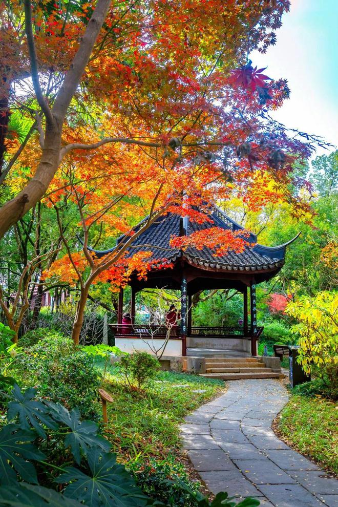 一年中最美！各大古风园林秋色正当时(图5)