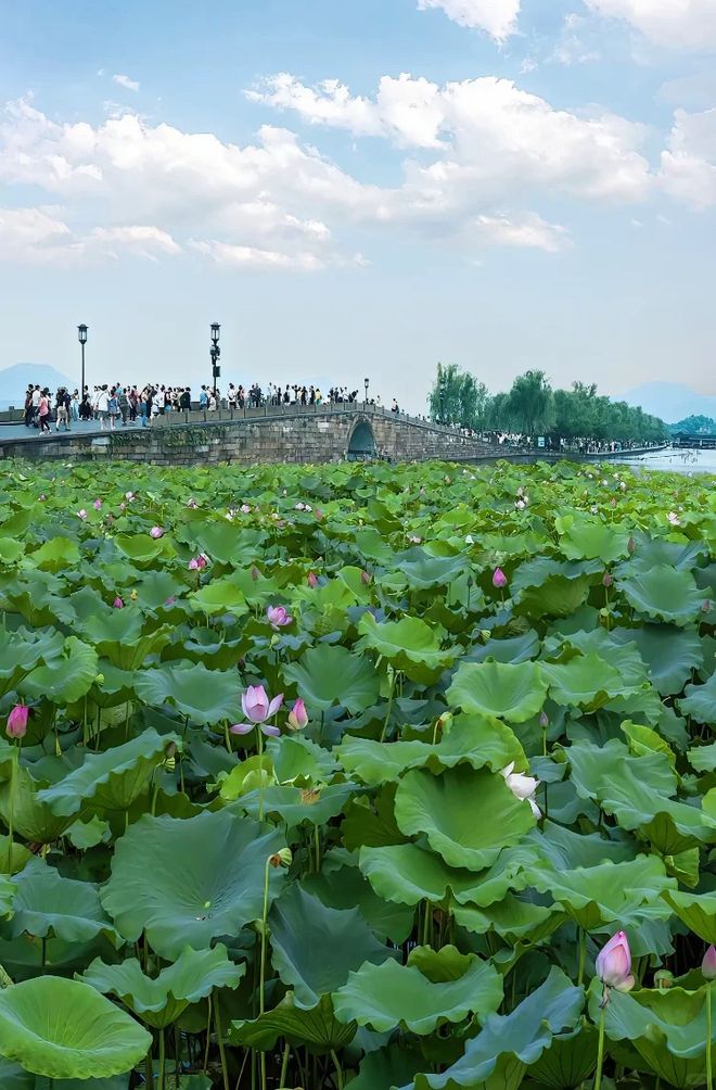 苏杭5天旅游全攻略苏杭跟团旅游多少钱？最佳攻略(图2)