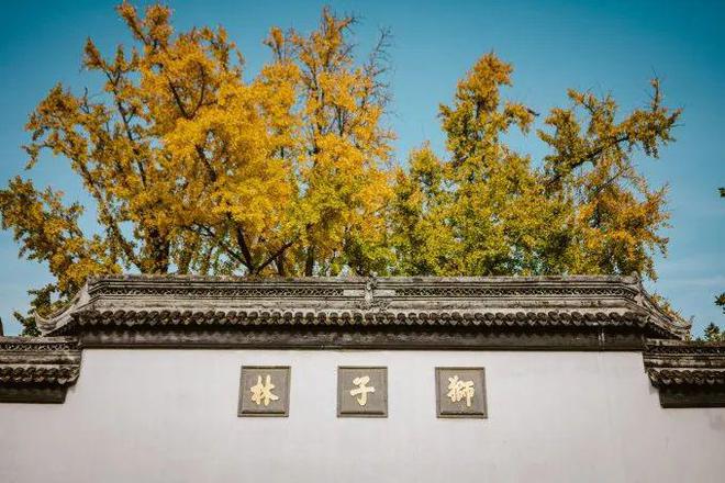 Kaiyun（中国体育）：黄了！苏州这座园林正迎来最佳观赏季！(图3)