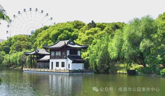Kaiyun（中国体育）：湖塘整治进行时清淤疏通惠民生(图1)