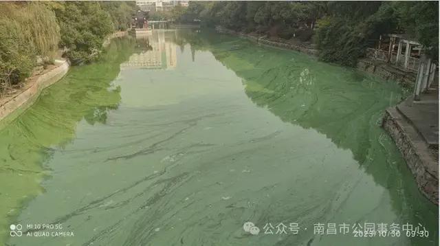 Kaiyun（中国体育）：湖塘整治进行时清淤疏通惠民生(图2)