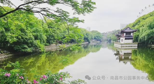 Kaiyun（中国体育）：湖塘整治进行时清淤疏通惠民生(图5)
