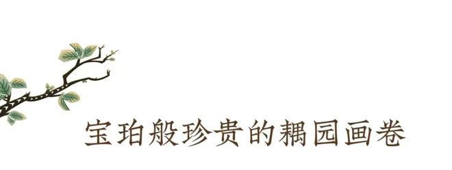 天津宝珀花园-售楼处(宝珀花园)网站-楼盘百科-天津房天下(图3)