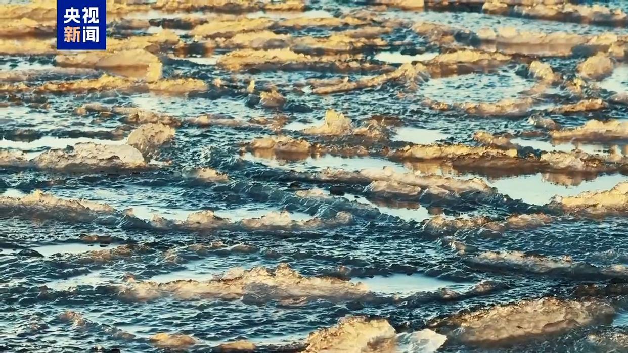 “荷叶冰”现身秦皇岛海域出现海冰景观(图1)