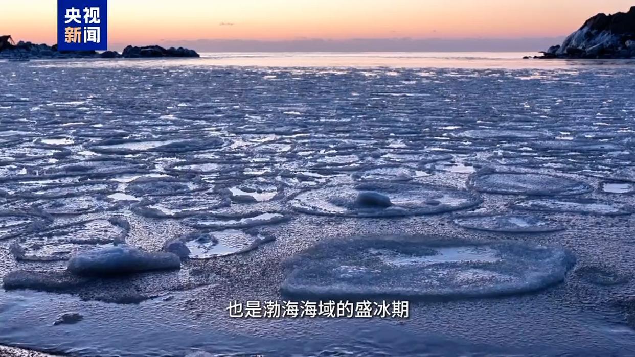 “荷叶冰”现身秦皇岛海域出现海冰景观(图2)