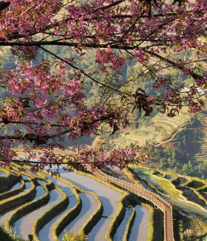 全中国冬天最温暖的8大旅游城市争取每年去一个！(图5)
