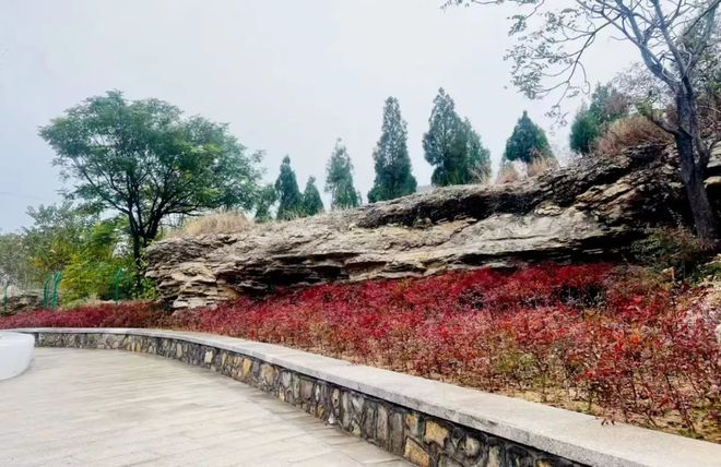 Kaiyun（中国体育）：让市民“推窗见绿出门入园”！济南市新添多个文化主题公园(图17)
