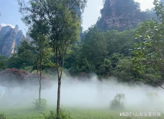 景观造雾系统园林雾化器造景(图2)