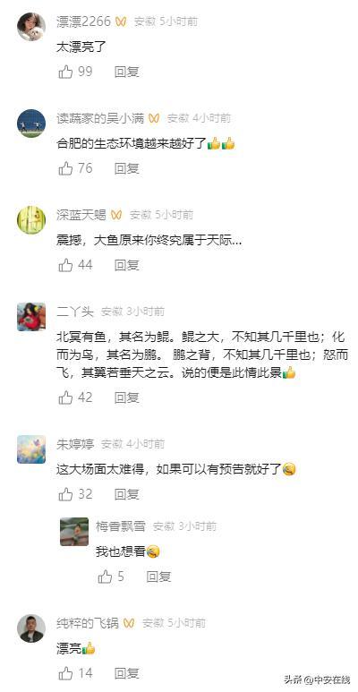 安徽巢湖上空出现“大鱼海棠”景色壮观奇景引发热议(图4)
