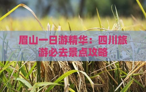 眉山一日游精华：四川旅游必去景点攻略(图4)