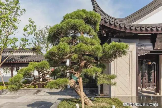 Kaiyun体育网站：「璟云里」网站2025「璟云里」楼盘详情-上海房天下(图3)
