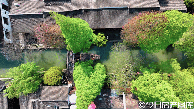 朱家角·璟雲里『2025网站』朱家角·璟雲里-学区配套-楼盘详情(图7)