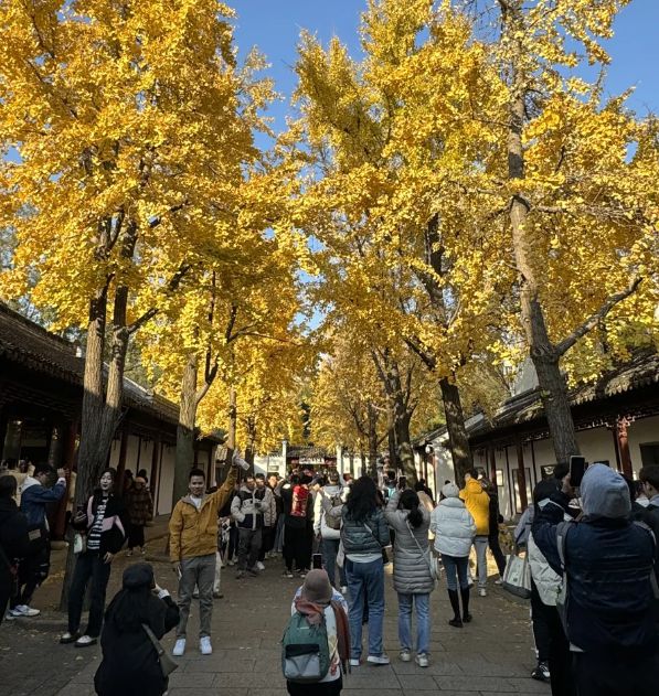 苏杭3日游省心教程分享三天两晚旅游攻略行程｜千万得码住(图3)