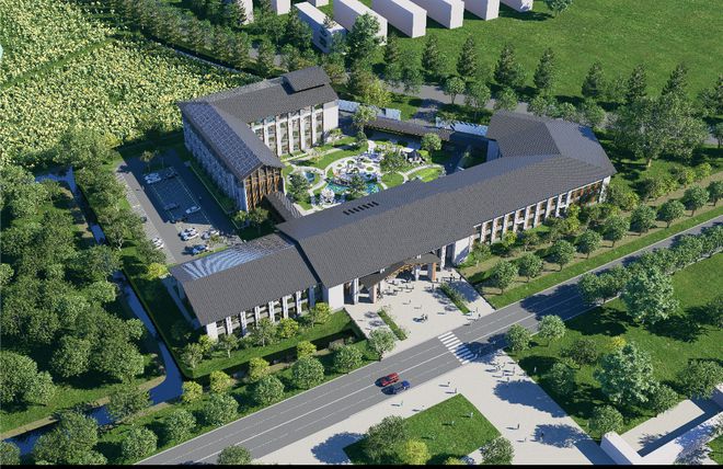滕州：微山湖红荷湿地重磅亮相！2025新春灯会美到窒息千万别错过！(图11)